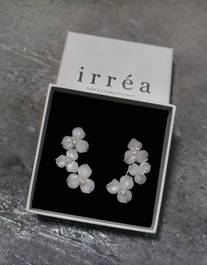 Crystal - Earrings & Hair Accessories 2 in 1